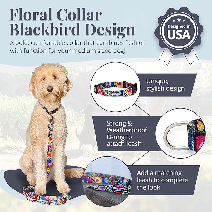 Lucky Love Dog - Adjustable Dog Collar with Easy Click Buckle for Small to Large Ones, Durable, & Comfortable for Male & Female Dogs, Pet Collar for Puppies & Adult Dogs - Blackbird, Medium