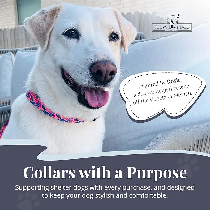 Lucky Love Dog - Adjustable Dog Collar with Easy Click Buckle for Small to Large Ones, Durable, & Comfortable for Male & Female Dogs, Pet Collar for Puppies & Adult Dogs - Rosie, XS