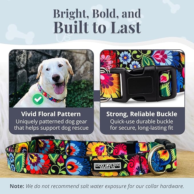 Lucky Love Dog - Adjustable Dog Collar with Easy Click Buckle for Small to Large Ones, Durable, & Comfortable for Male & Female Dogs, Pet Collar for Puppies & Adult Dogs - Blackbird, X-Small