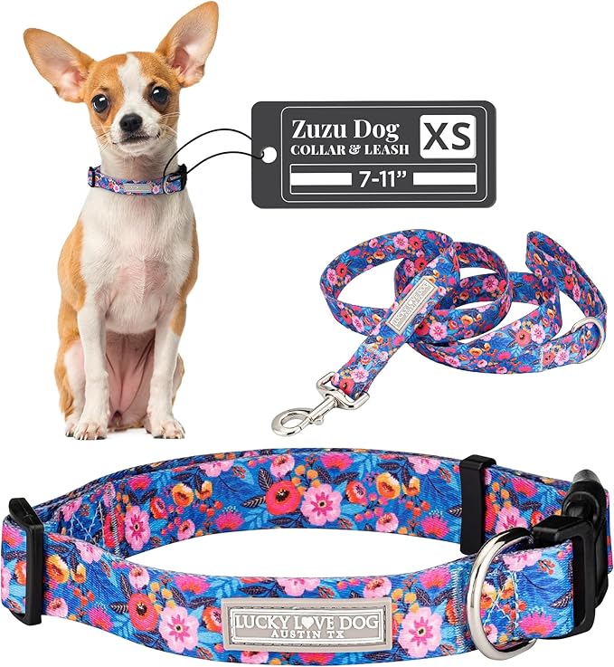 Lucky Love Dog - Adjustable Dog Collar and Leash Set with Easy Click Buckle for Small to Large Dogs, Durable, & Comfortable Collar for Male & Female Dogs, Puppies & Adult Dogs - Zuzu, XS