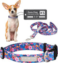 Lucky Love Dog - Adjustable Dog Collar and Leash Set with Easy Click Buckle for Small to Large Dogs, Durable, & Comfortable Collar for Male & Female Dogs, Puppies & Adult Dogs - Zuzu, XS