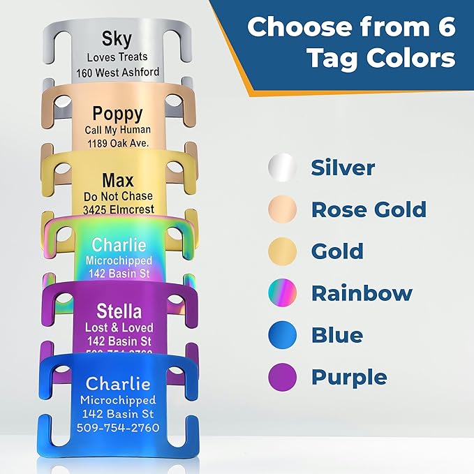 GoTags Reflective Personalized Dog Collar with Nameplate, Adjustable Dog Collar with Custom Engraved Steel Slide On Pet ID Tag, Silent, No Noise Dog Tag for Large Medium or Small (Blue, Large)