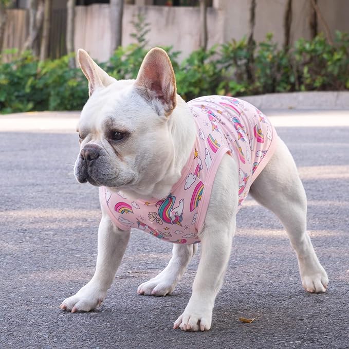 CuteBone Dog Shirts 2-Pack Soft Pet Clothes Breathable Summer Vest for Small Puppy and Stretchy Cat Apparel 2BX09S