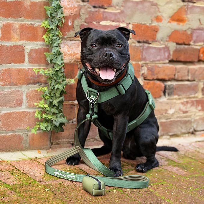 Spark Paws No Pull Dog Harness for Large Dogs, Heavy Duty Dog Harness for Big Strong Breeds, Adjustable, Y Shaped Padded Halter Design with Front Clip - Solid Green – L