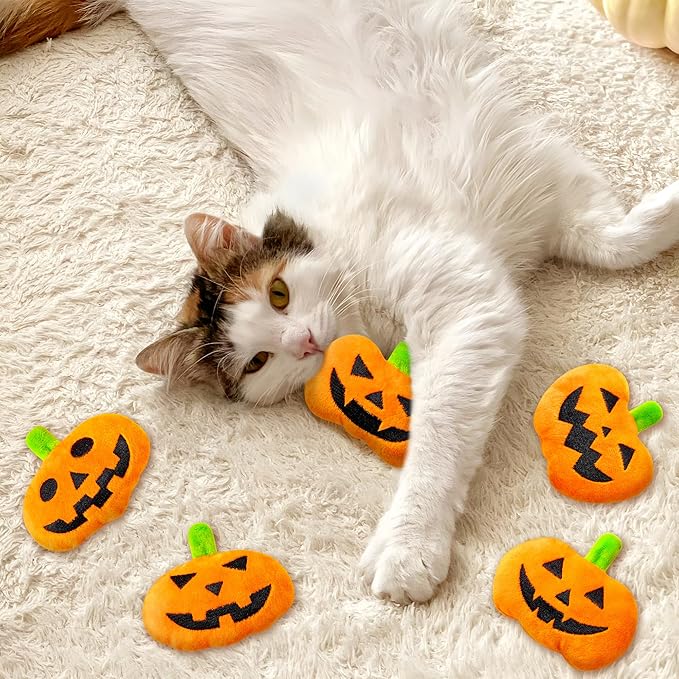 MALLMALL6 Catnip Toys for Cat - 5Pcs Halloween Pumpkin Jack O Lantern Catmint Interactive Kitten Toy for Indoor Kitty, Soft Orange Kitten Teething Chew Supplies Set, Pet Gifts for Cat Lover