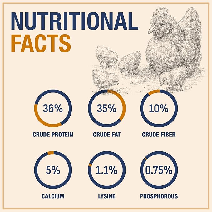 USA Grown Black Soldier Fly Larvae for Chickens - 100% Natural Dried Worms, Grubs & Mealworms with 85X More Protein Chicken Treats for Laying Hens - Birds Feed Supplement for Ducks & Reptiles