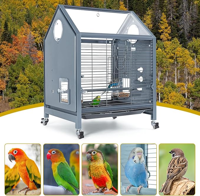 OIIBO Acrylic Bird Cage, 25 Inch Deluxe Rolling Bird Cage with Acrylic Panel Medium Bird Cage Kit with Bird Feeders, Water Bottle, Perch for Parrot Conures Lovebirds Finches Canaries Parakeets