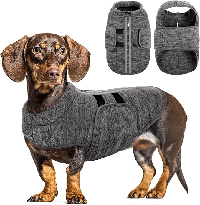 Queenmore XXS Dog Sweaters, Soft Fleece Vest Pullover Dog Jacket with Leash Hole, Warm Winter Dogs Clothes Cold Weather Doggy Dachshund Sweater for Small Dogs Cats Boy or Girl (Cationic Gray, XXS)