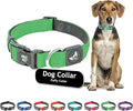 Kruz Dog Collar for Large Dogs (Width- 1.5", Neck - 20.5"-31.5") Adjustable Pet Neck Band with Comfortable Soft Padding, Lifetime Durability, Heavy-Duty O-Ring (Mint Green, X-Large)