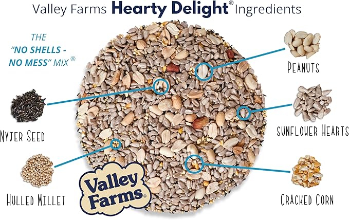 Valley Hearty Delight Wild Bird Food for Outside Feeders, No-Mess Wild Bird Seed with Sunflower Hearts & Peanut Kernels, Filler Free Bird Seed Perfect for Outdoor Patios, (4 LBS)