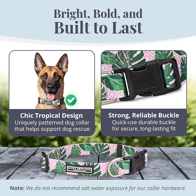 Lucky Love Dog - Adjustable Dog Collar with Easy Click Buckle for Small to Large Ones, Durable, & Comfortable for Male & Female Dogs, Pet Collar for Puppies & Adult Dogs - Laguna, Large