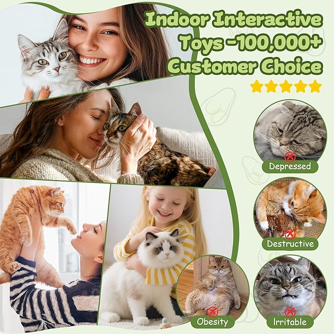 Interactive Cat Toys for Indoor Cats,Electric Flying Bird & Mouse Wand Teaser, Automatic Hanging Door Frame Chase/Hunt/Exercise Stimulate Feather Cat Toy for Bored Indoor Adult & Kitten