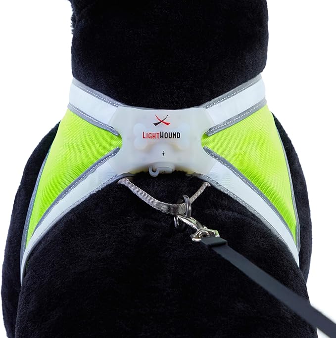 Noxgear LightHound – Revolutionary Illuminated and Reflective Harness for Dogs Including Multicolored LED Fiber Optics (USB Rechargeable, Adjustable, Lightweight, Rainproof) (Large)