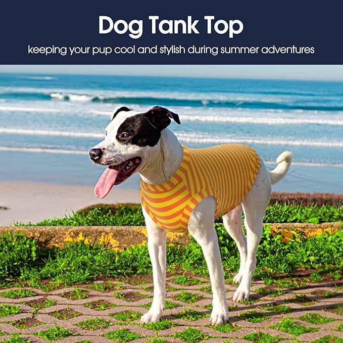 IECOii 2 Pack Dog T-Shirt for Large Dogs,Breathable Tshirts for Hot Weather,Stretchy & Comfortable Pet Summer Clothes Outdoor & Indoor Wearing,Pet Tank Top Set Great Dane Tee Shirts,Orange+Stripes,5XL