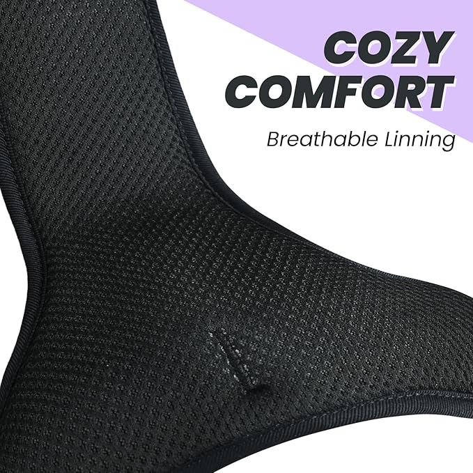 VIVAGLORY Dog Harness Easefit No Pull Dog Harness with Front Clip & Handle for Lifting Training, Adjustable Padded No-Pull Anti Pull Easy On for Puppy & Pet, M, Purple