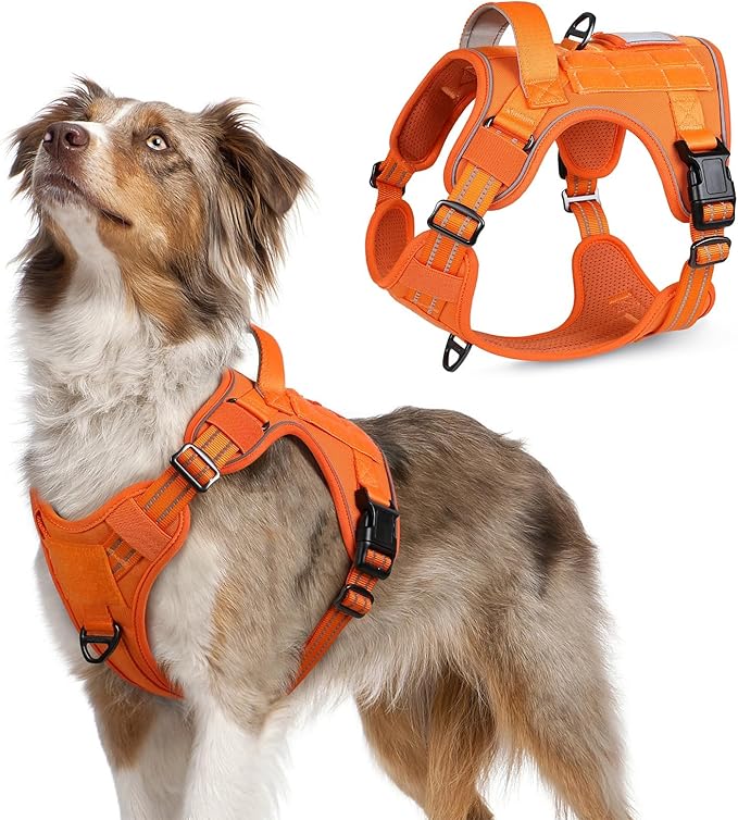 rabbitgoo Tactical Dog Harness Medium Sized Dog, No Pull Military Service Vest with Handle & Molle, Easy Control for Training Walking, Adjustable Reflective Straps, Orange, M