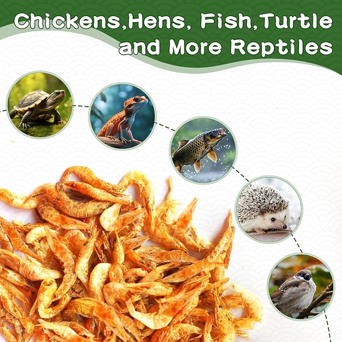 Dried River Shrimp 11lb High Protein Freeze Red Dried Shrimp All Natural Treat for Chicken, Turtles, Reptiles, Fish & Poultry, Perfect for Aquariums, Ponds, Backyard Chickens and Birds