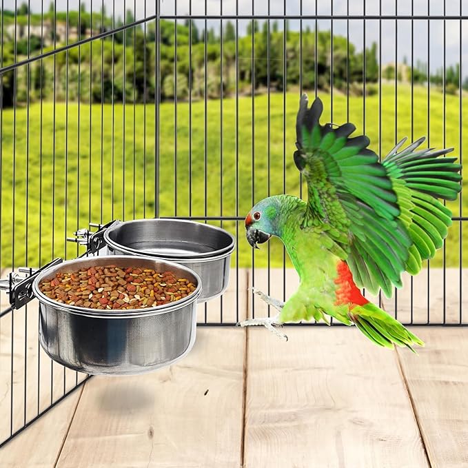 PINVNBY 2pcs Stainless Steel Bird Bowl Water Bowl Stainless Steel Bird Feeding Dish Cups for Parrot Parakeet African Greys Conure Cockatiels Lovebird (Diameter: 4.72 inches M)