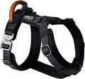 MADE TO ROAM Premium Explorer Harness - Y-Shaped Dog Harness with Adjustable Durable Nylon, Soft Padding, Metal Buckles and Leather Handle for Small, Medium, Large Dogs (New York Afterlight, Size 3)