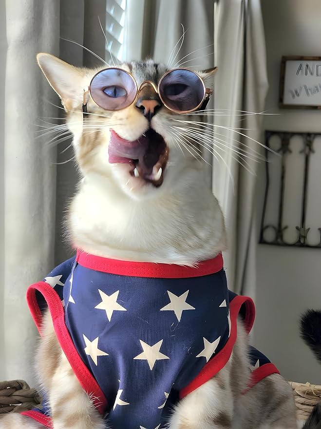 Fitwarm Patriotic Star Dog Shirt for 4th of July, Memorial Day, Independence Day, Holiday Dog Clothes for Small Dogs Boy Girl, Pet Cat Outfit, 100% Breathable Cotton, Red, Navy Blue, White, XXL