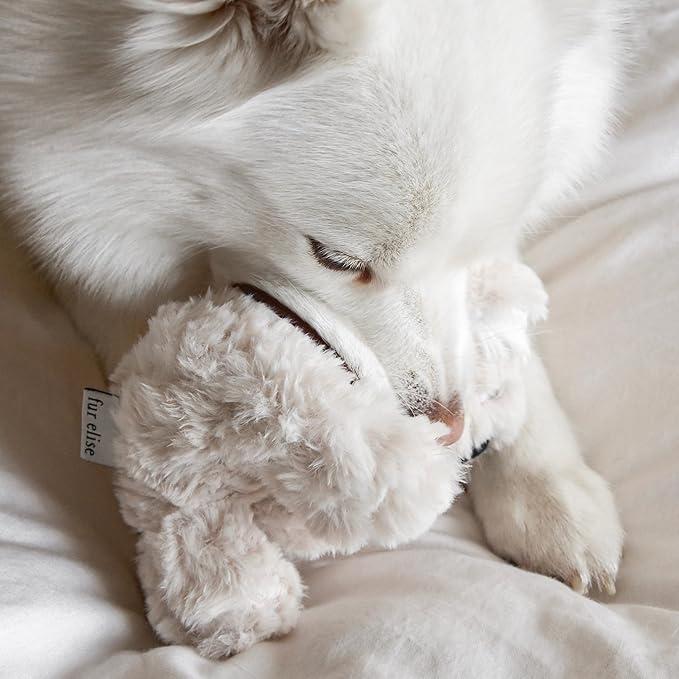 Fur Elise Koko Mini Plushie – Small Koala Dog & Cat Toy | Squeaky, Crinkle, Jingle | Ultra-Soft Plush for Playtime, Snuggles, and Décor