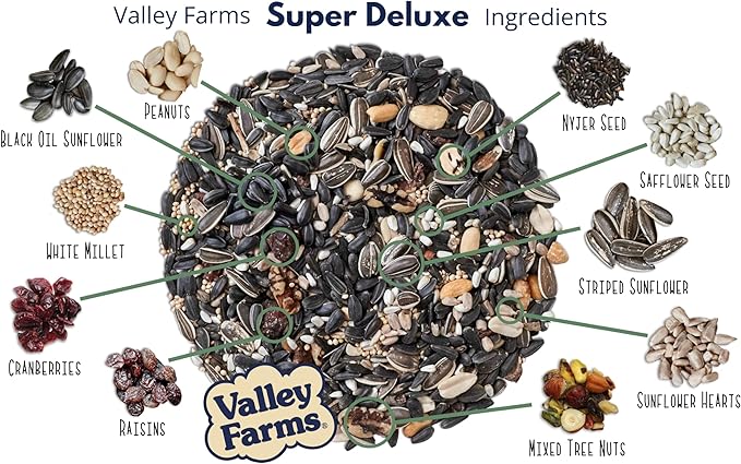 Valley Farms Super Deluxe Wild Bird Food for Outside feeders - 0% fillers - Loads of Sunflower Seed - w/Peanut kernels -Feed More Birds w/Less Seed (4 LBS)