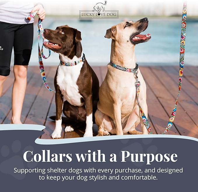 Lucky Love Dog - Adjustable Dog Collar with Easy Click Buckle for Small to Large Ones, Durable, & Comfortable for Male & Female Dogs, Pet Collar for Puppies & Adult Dogs - Blackbird, Large