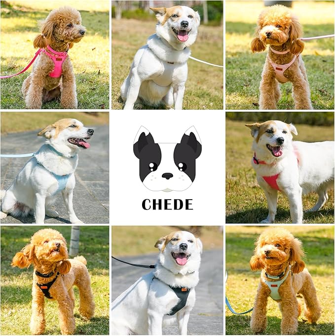 No Pull Dog Harness- Lightweight, Soft, Adjustable Small Harness Collar and Leash Set, Suitable for Cats Puppy Small and Medium-Sized Dog Outdoor Training and Running (Beige, XXS)