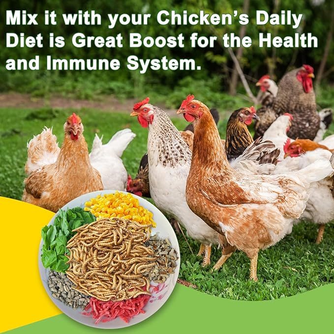 1LB Dried Black Soldier Fly Larvae Treat for Chicken, 100% Natural Non-GMO More Calcium Than Dried Mealworms High Protein Chicken Feed for Birds, Ducks, Layer Hens