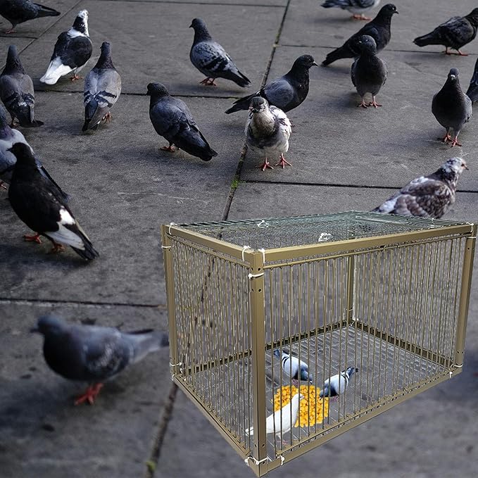 15" H Chicken Pigeon Trap Cage Birdcage Small Animal Trap Cage with Escape-Proof Design for Bird Turkey Duck Dove (23.6" L x 23.6" W x 15.7" H)
