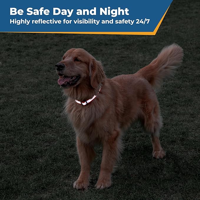 GoTags Reflective Personalized Dog Collar, Custom Embroidered Safety Collar with Pet Name and Phone Number for Boy and Girl Dogs, Small, Medium, and Large Adjustable Sizes (Large, Light Blue)