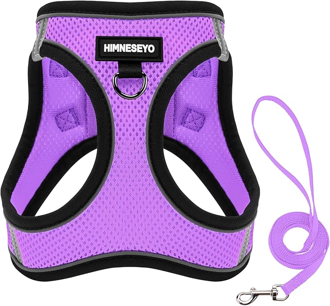 Dog Harness and Leash Set, Dog Harness for Dogs No Pull, No-Chock Step-in Reflective Breathable Lightweight Easy Walk Vest Harnesses with Safety Buckle for Small Medium Dogs, Cats (Light Purple, XXS)