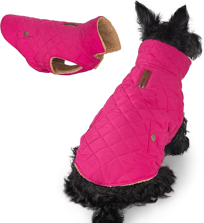 azuza Dog Jacket Waterproof & Windproof Dog Coat for Small Dogs with Thick Fleece, High Collar with Leash Hole, Adjustable Velcro & Elastic Belly, Rose Red M