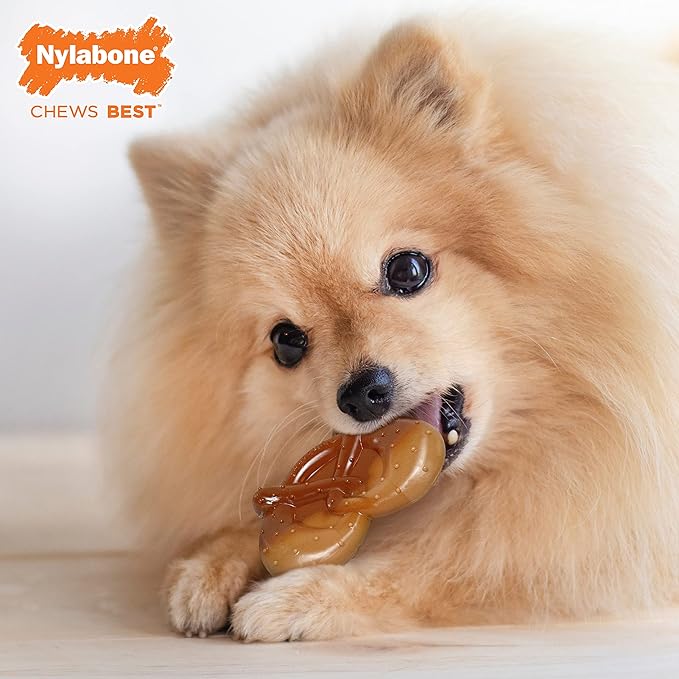 Nylabone Pretzel Power Chew Toy for Dogs, Dog Toys for Aggressive Chewers, Bacon & Peanut Butter Flavor, Small Dogs - Up to 25 Ibs, 1 Count
