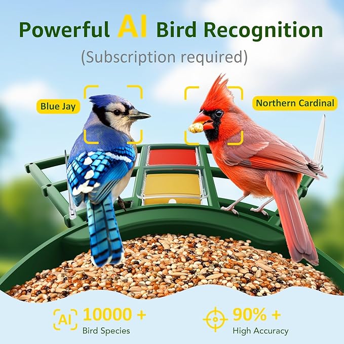 PeckCam® Smart Bird Feeder with Camera 2K HD Auto Detect & Notify, AI Identify 10000+ Birds Camera with Solar Panel 5 Perch Attachments Wireless Outdoor Birdwatching Gift for Birds Lover, Green