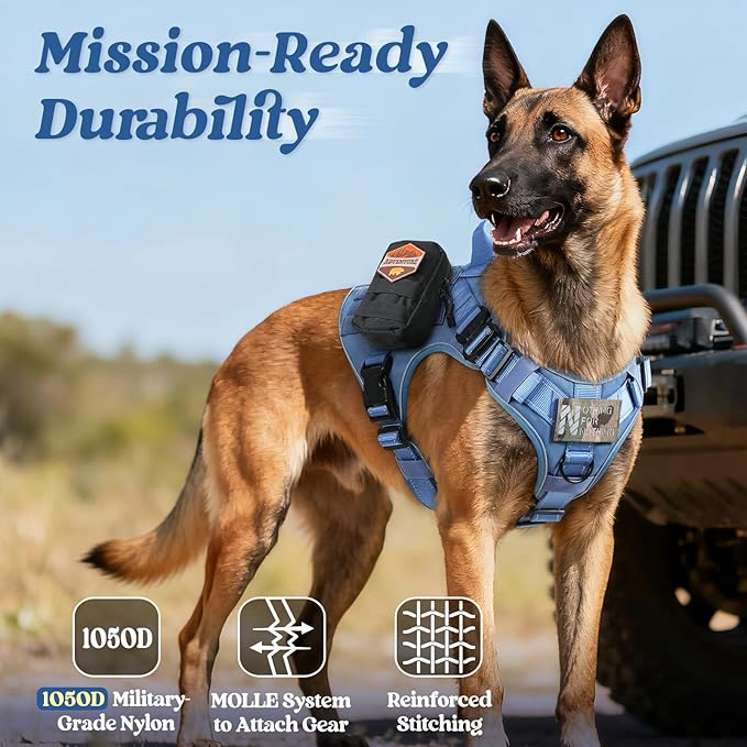 rabbitgoo Tactical Dog Harness Small Sized, No Pull Upgraded Reflective Heavy Duty Molle Vest with Handle, Adjustable Military Service Dog Vest for Walking Hiking Training, Blue, S