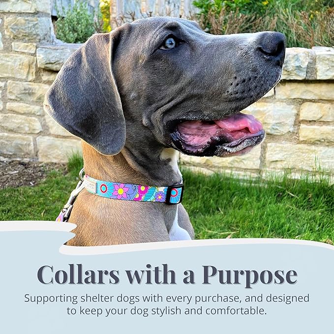 Lucky Love Dog Collars, Cute Large Dog Collars for Female Dogs, Part of Purchase Donated to Rescue (Large, Caroline, Collar)