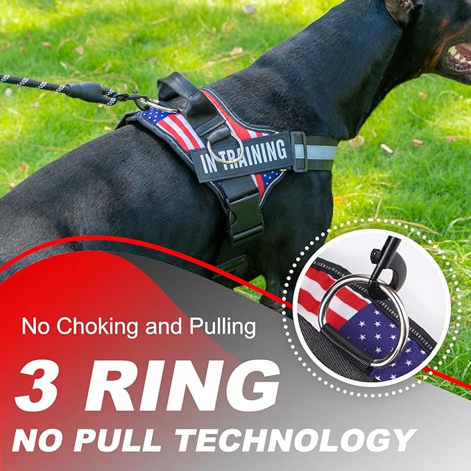 Essential Dog Harness with 3 Leash Clips - No-Pull, Adjustable, Comfortable Pet Vest Harness for Small to Large Dogs - Easy On, No Choke, Reflective, Padded Harness for Walking and Training