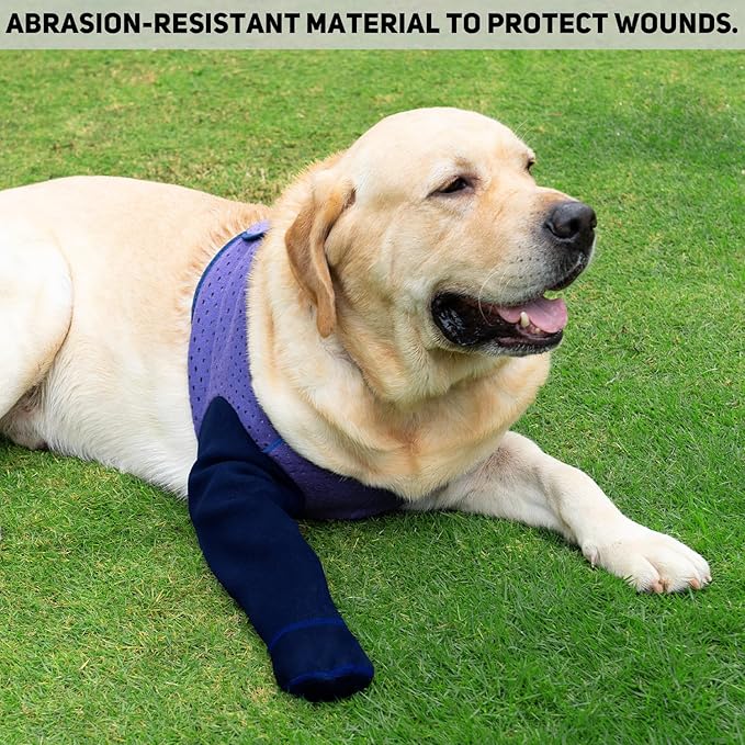 COODEO Dog Socks to Prevent Licking Paws, Healing Boots & Paw Protectors with Non-Slip Bottoms for Wound Protection, Waterproof Sleeve Shoes for Licking（Purple，M_Left