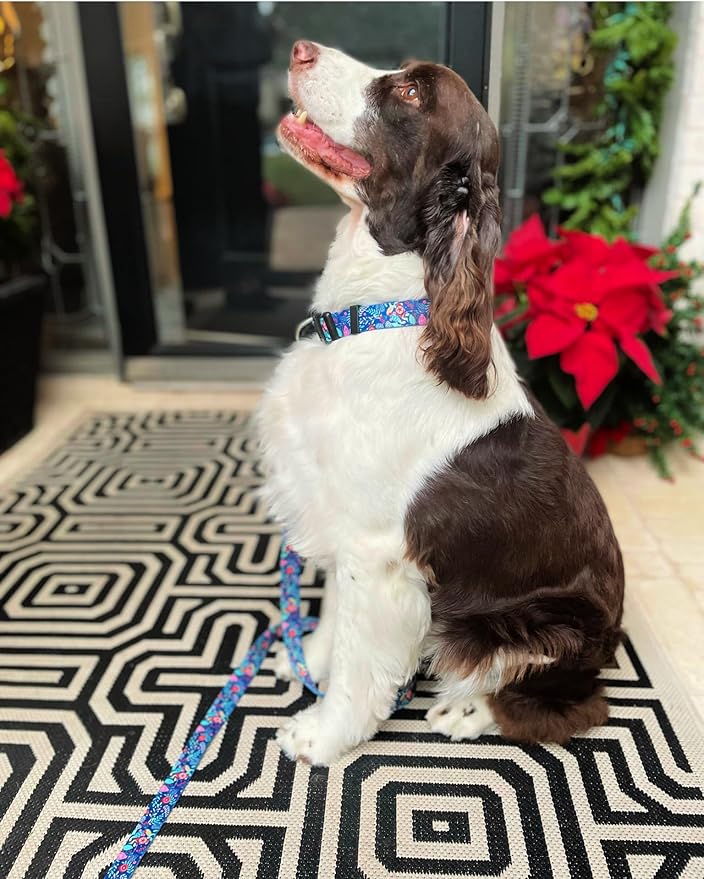 Lucky Love Dog - Adjustable Dog Collar with Easy Click Buckle for Small to Large Dogs, Durable, & Comfortable for Male & Female Dogs, Pet Collar for Puppies & Adult Ones - Sweet Holiday, XS