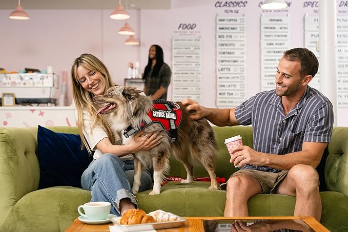 Support Pets The Only Official ESA™ Dog Harness – Adjustable No-Pull Dog Vest for Easy Pet Recognition with Reflective Straps – Soft, Padded & Comfortable for Training and Daily Use - Medium