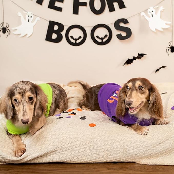 Fitwarm Halloween Spooky Season Dog Shirt, Funny Dog Clothes for Small Dogs Boy Girl, Holiday Doggy Tank Top, Pet Outfit, Purple, Orange, XS