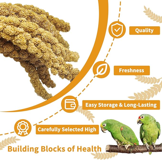 kathson Natural Sun-Dried Birds Millet Spray Millet Treat Bird Snacks for Parrots Cockatiels Lovebirds Painted Buntings and Finches Parakeets 2.2 LB