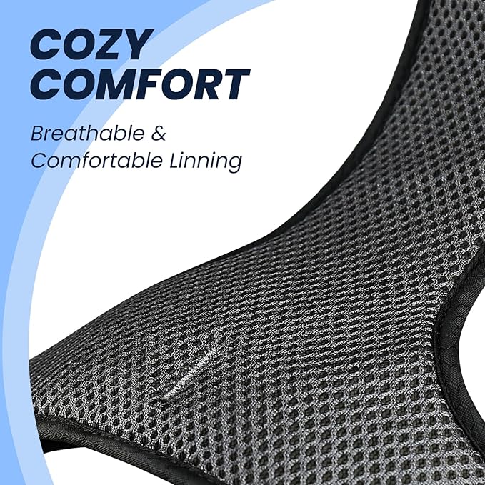 VIVAGLORY Dog Harness Easewalk No Pull Dog Harness with Handle & Front Back Clip for Training Lifting, Easy On Adjustable Padded No Pull for Pet & Puppy, M, Royal Blue