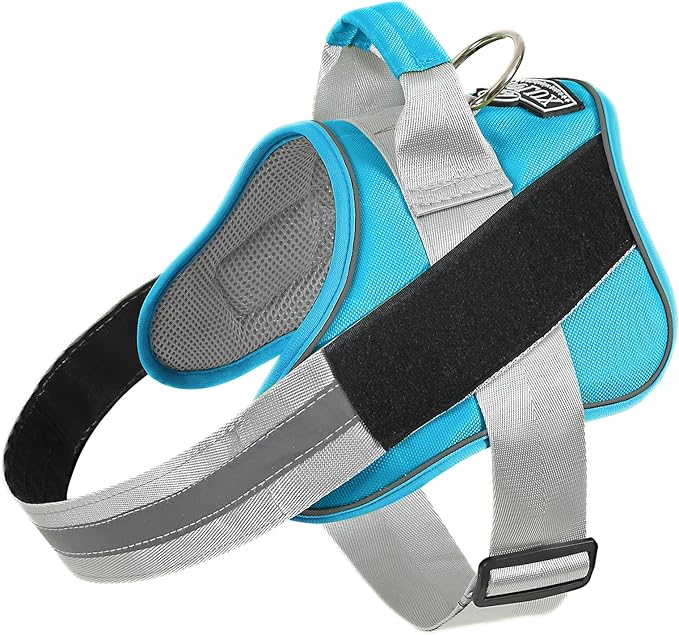 Bolux Dog Harness, No-Pull Reflective Dog Vest, Breathable Adjustable Pet Harness with Handle for Outdoor Walking - No More Pulling, Tugging or Choking (OceanicBlue, Small (Pack of 1))