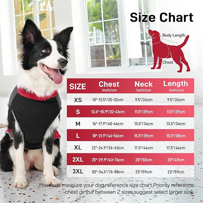 Warm Fleece Dog Coats for Small Dogs,D-Rings Waterproof Puppy Jacket for Cold Winter,Red XS