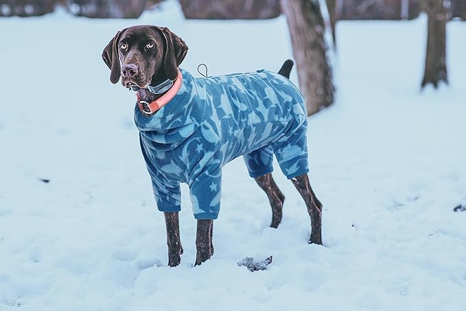 ROZKITCH Dog Fleece with Legs, Pet Windproof Warm Cold Weather Jacket Vest with Luminous Zipper, Jumpsuit Apparel Outfit Clothes for Small Medium Large Dog Shark XS