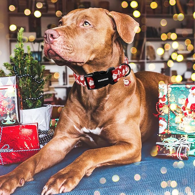 DOGWONG Santa Dog Collar - Red, Adjustable Designer Collar for Small to XL Dogs