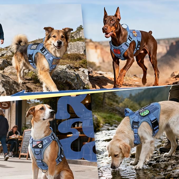 rabbitgoo Tactical Dog Harness for Large Dogs, No Pull Upgraded Reflective Heavy Duty Molle Vest with Handle, Adjustable Military Service Dog Vest for Walking Hiking Training, Blue, L
