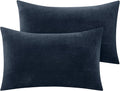BEDELITE Flannel Pillow Cases Queen Size Set of 2, Super Soft Fleece Pillowcases with Zipper for Bedroom, Sofa, Couch,Luxury Cozy Fuzzy Velvet Pillow Shams for All Seasons(20x30 Inches,Navy)